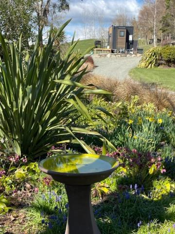 Boutique Tiny House - Te Anau Country Accommodation Exterior foto